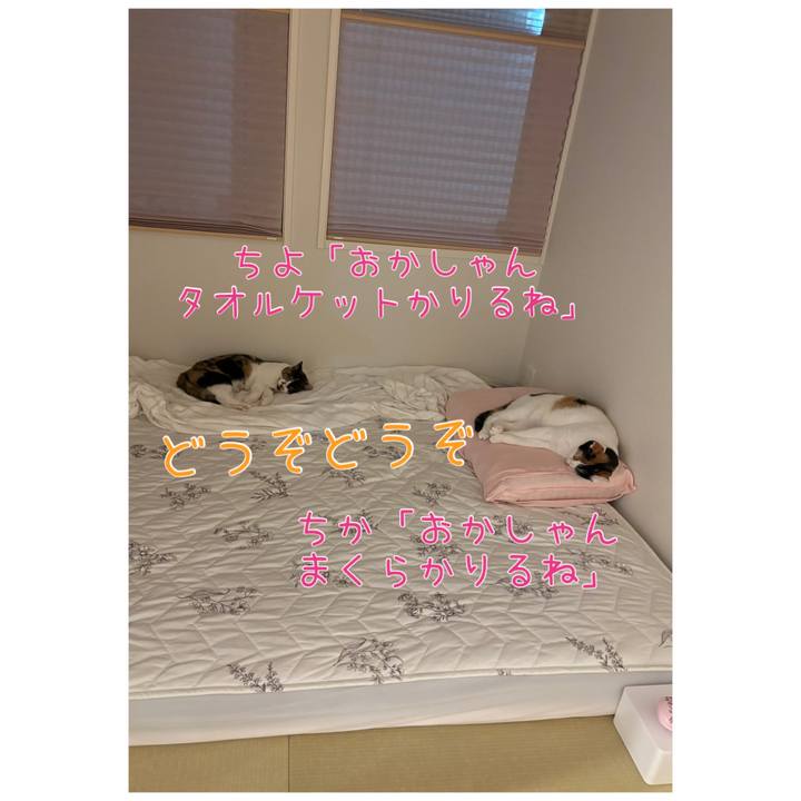 9359bec4 78c4 4170 badd f64c21eeee19 1780570831924