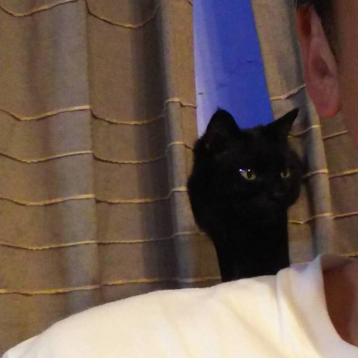 9359e400 6cac 4e8b 8f1a ebfec8ccf7a4 1526292454856