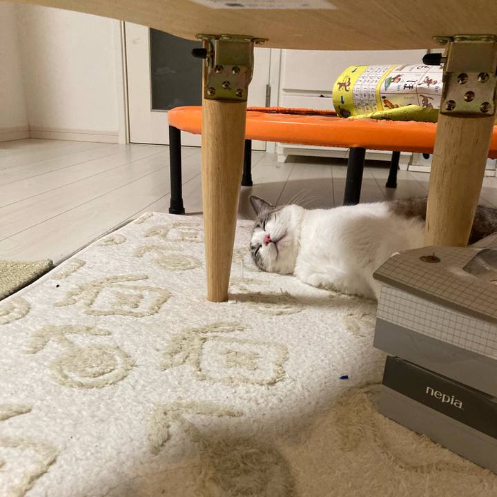 935a1c29 e465 45b8 b442 4f15f02c500c 1701528835496