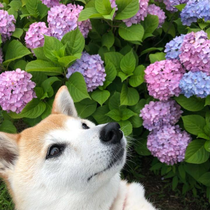 935a4ca0 fc12 4733 b6d7 7cc9772a2153 1717556562587