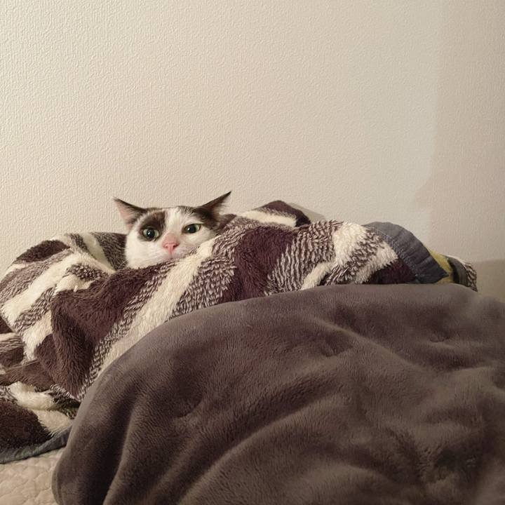 935ab447 eac5 422d a7b4 dc5c127bbb7c 1655629696080