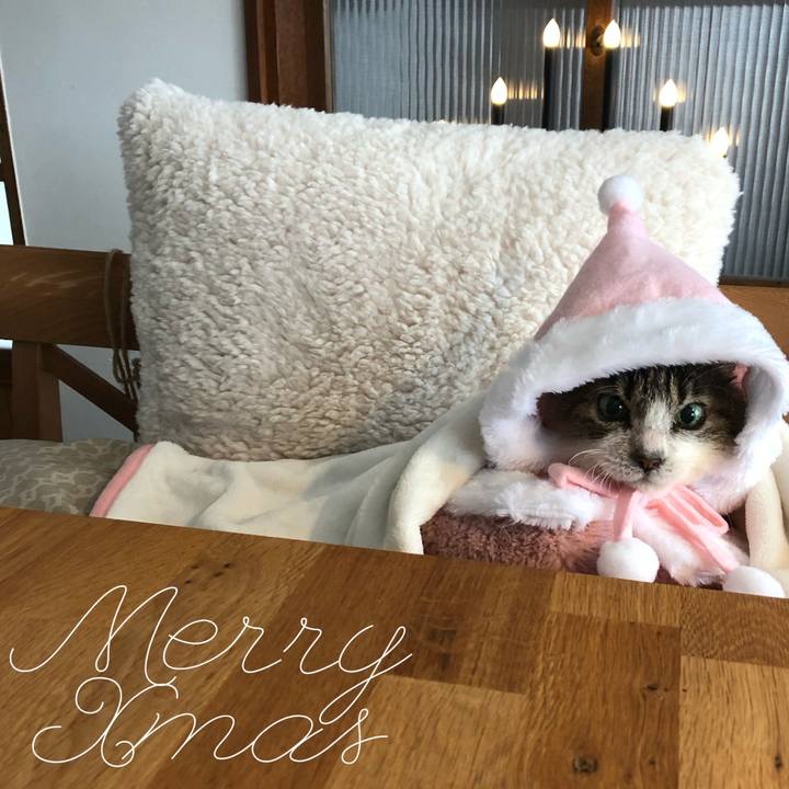 935adeca 3221 4404 abf1 1b9bd1122552 1608803232520