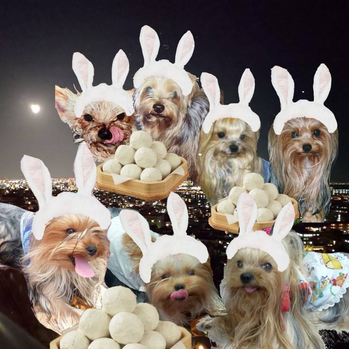 935b21dc 45e1 4b4d 9fc9 42cee8a53655 1632184361308