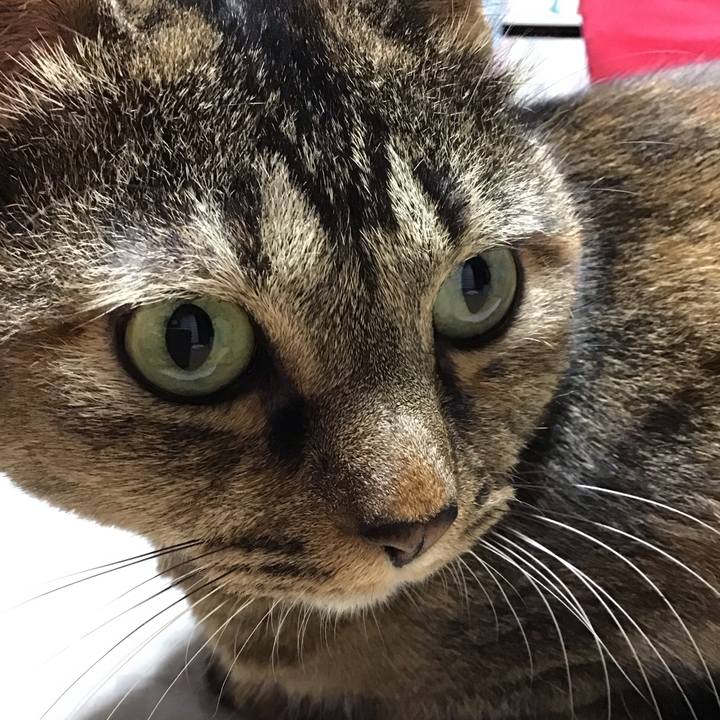 935b2d39 56b9 4308 b57a 5ca18f9e2e13 1760865990030