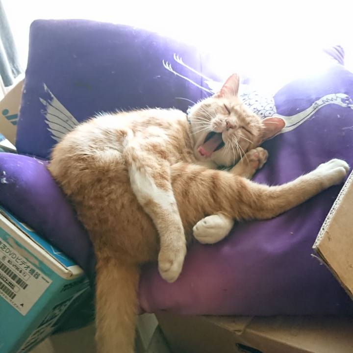 935b5c36 9a24 4f5b b8e8 d0484e657d1b 1596595485701