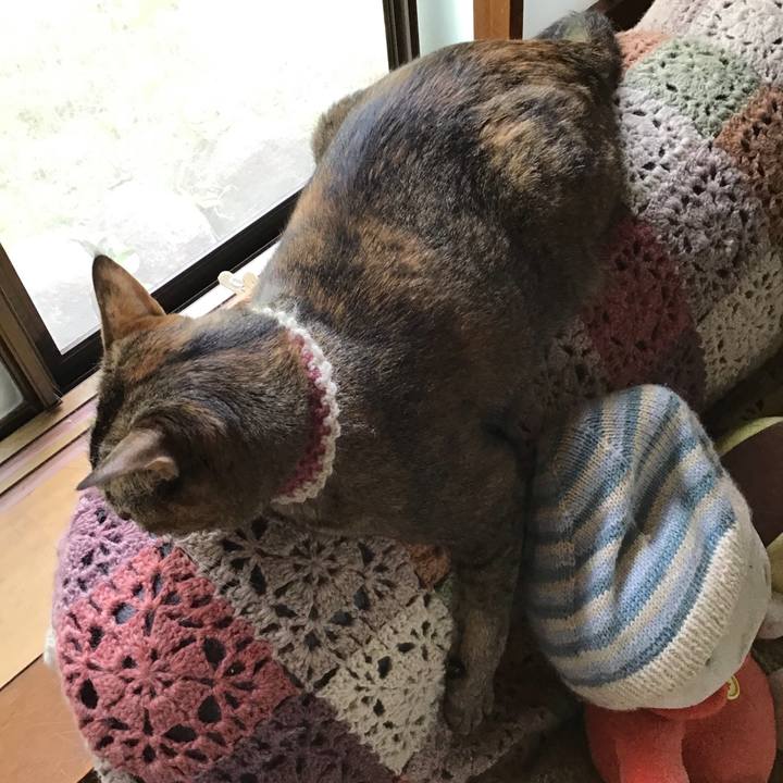 935b679f 1e59 4064 8af6 d18c0069aa98 1651040607133