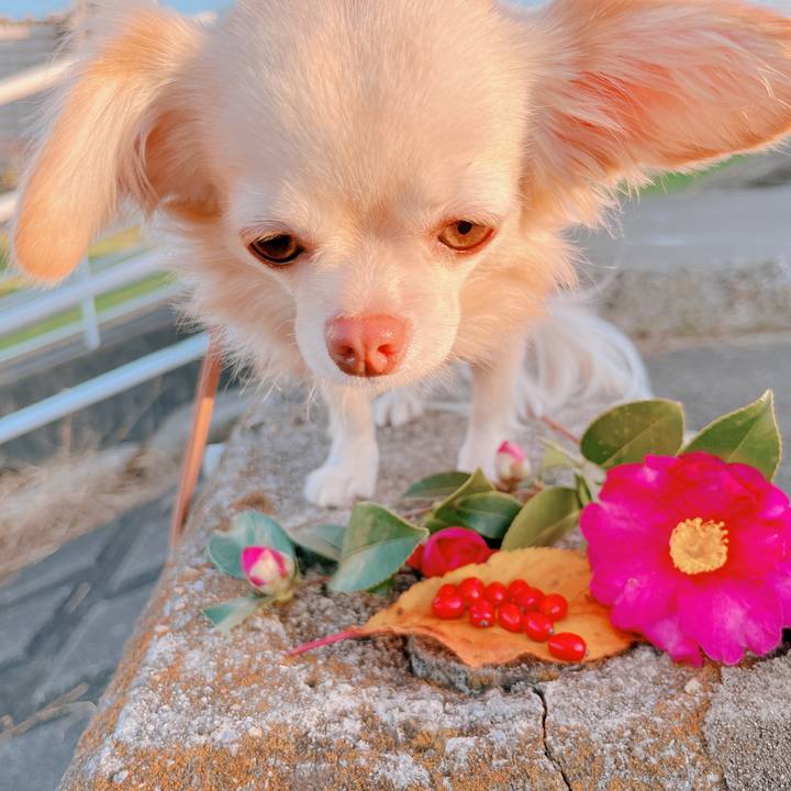 935b8c73 7d9b 4e59 b3d2 10f31fcf6f02 1670486858059