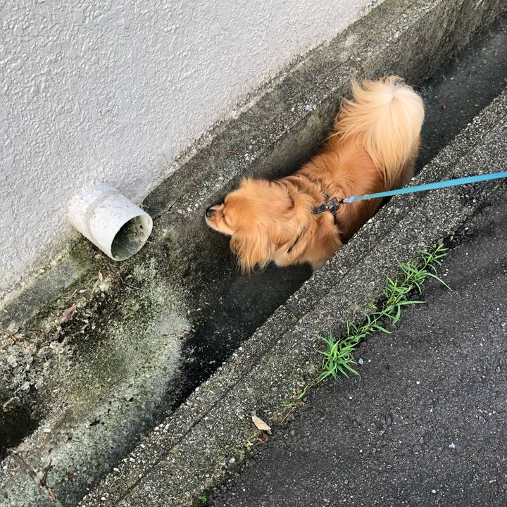 935b8e3d c8d5 4a87 9e18 785a22a50d5a 1564786818287