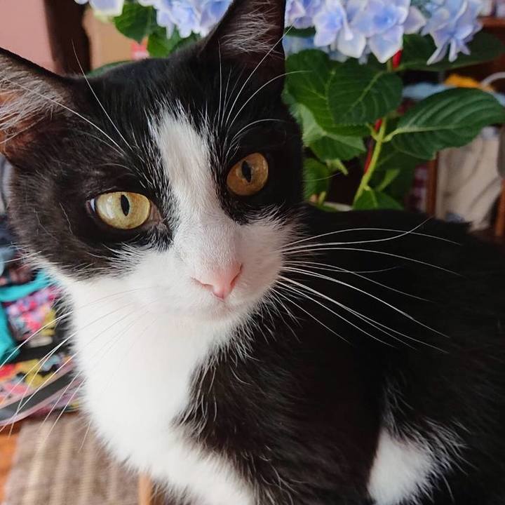 935bb4b8 9a1b 4791 83d9 6d7d40f65fa6 1560000353736