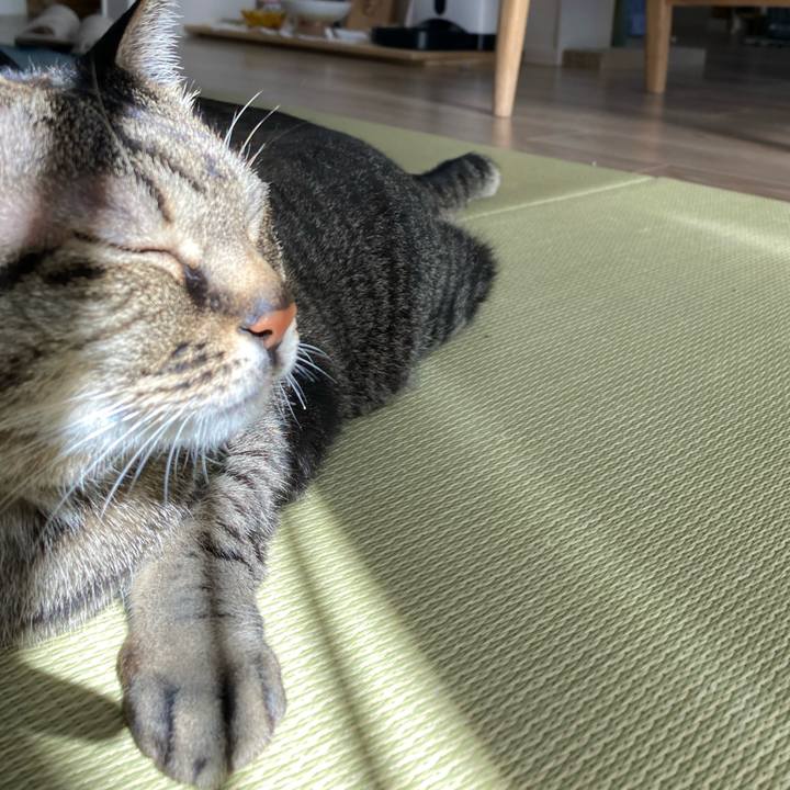 935bc52d 0e16 4497 861a 108ab0bba2ad 1683257191554