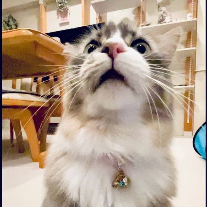 935bd963 e748 449d 964f 726f12380451 1756568135573