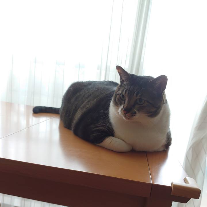 935bdea9 2417 46bf 8c3d 864f6a689562 1586245305449