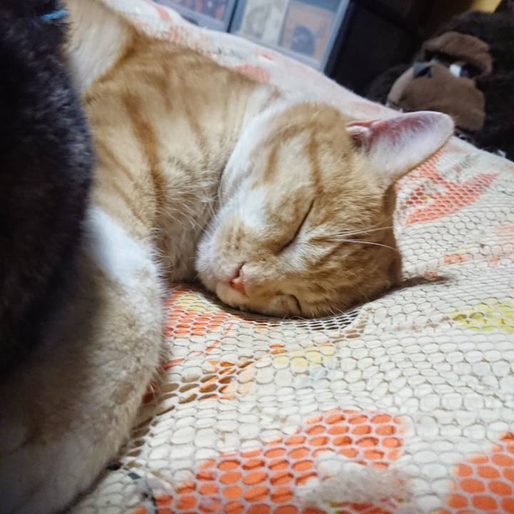 935be42f 0f0b 46e6 b85e 6ae3fc8e152a 1577274136280