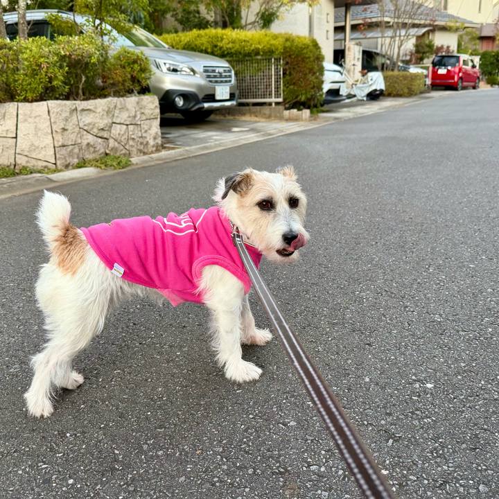 935be87a af4f 485a a4d9 ab6eb06ddeee 1764844578634