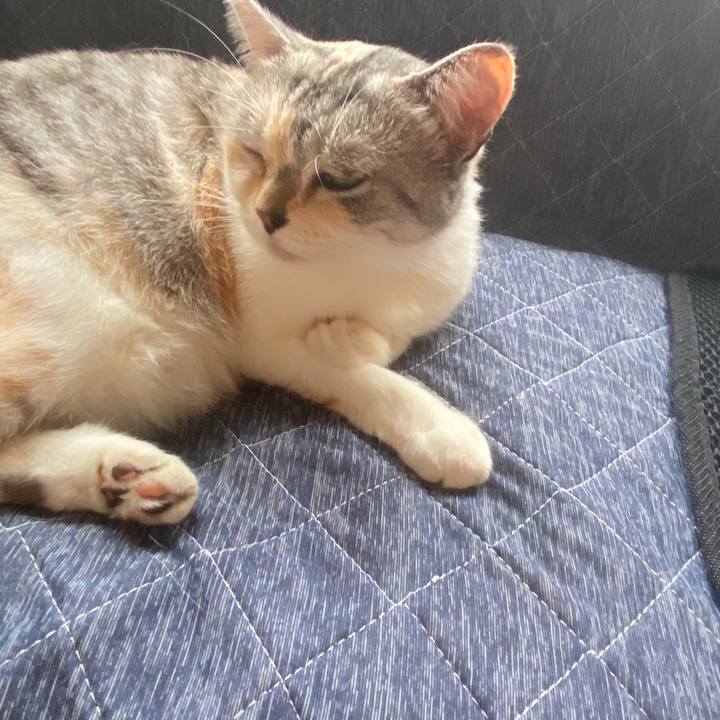 935c299f fe08 417f b7de 6c136e7e6fd8 1600652834573