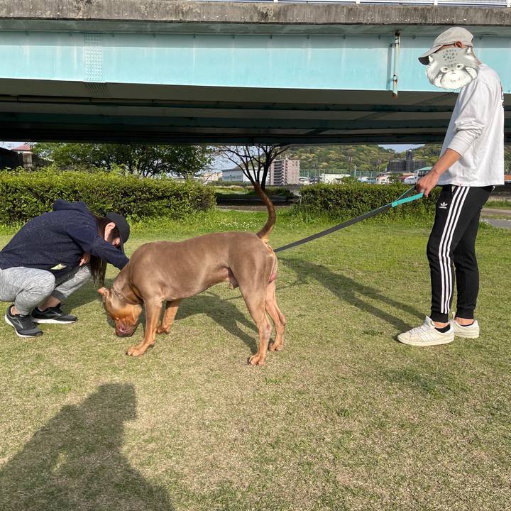 935c5f23 9f9c 4668 b7b0 c346374b339f 1682131700695