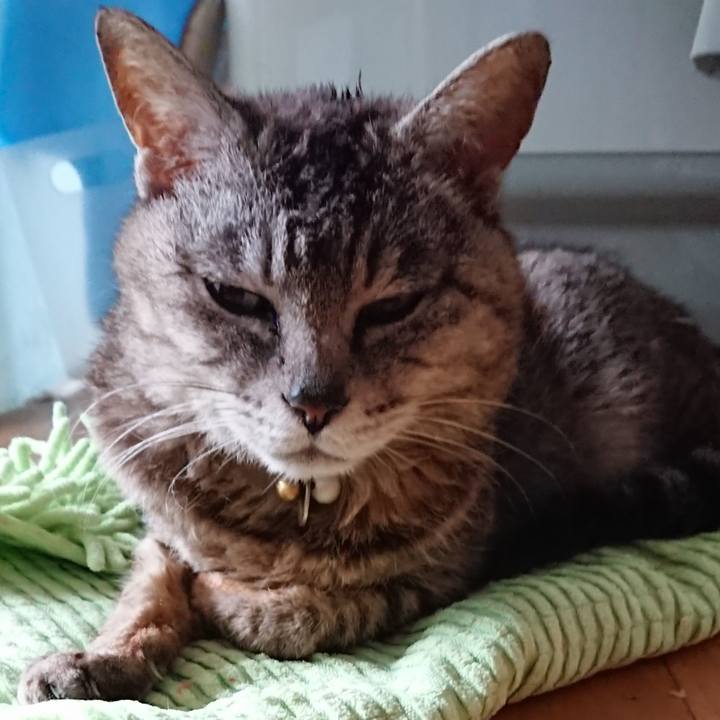 935cb33f 7e05 4b79 9035 7ff1747977c9 1562188137512