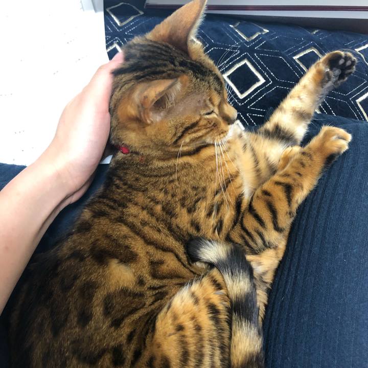 935ccab0 18d0 427c 86ce 7edd368fc5d1 1557141203160