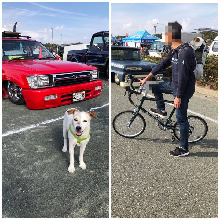 935d3c22 9185 4cb2 83cf b8dc7248cca3 1542519790936