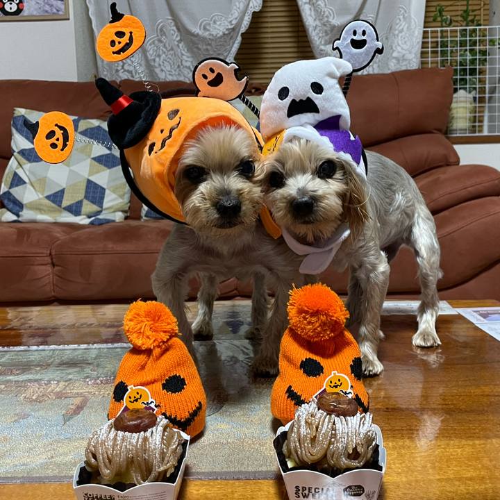 935d5892 bae3 4138 8ef7 a5ba70aee11d 1635672750304