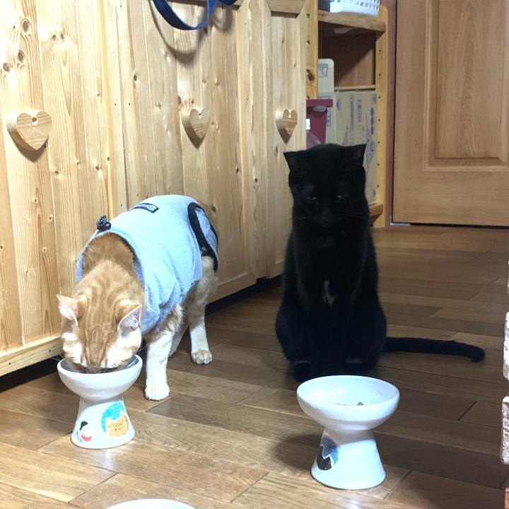 935d5b7d 8888 4bb7 9f7c fa6ba47e7c6b 1641556714184