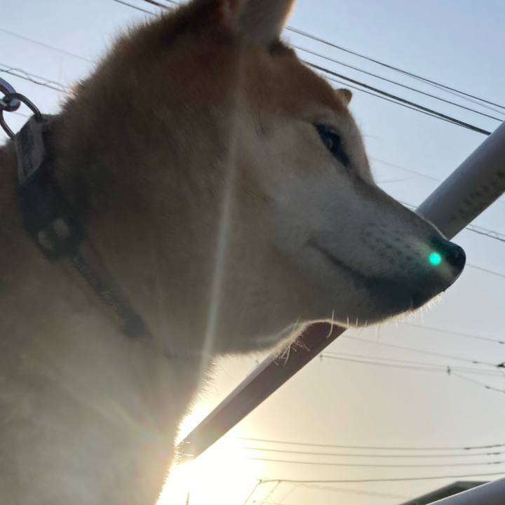 935d72d1 8657 46a3 8508 af488c59ffc1 1646472188651