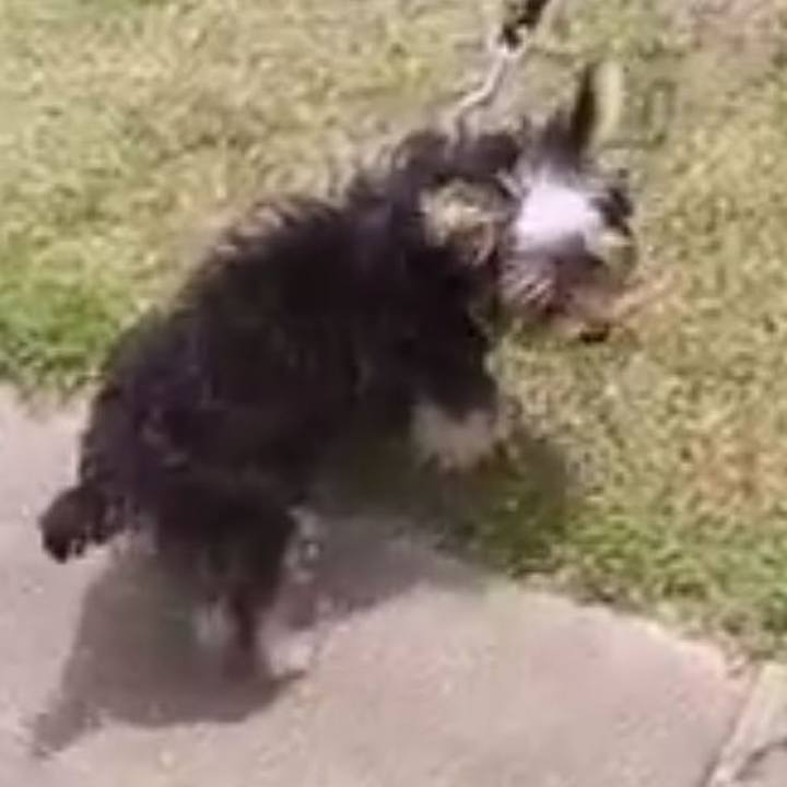 935d7e2f e802 45c6 8086 5ff003a04f34 1533420075749