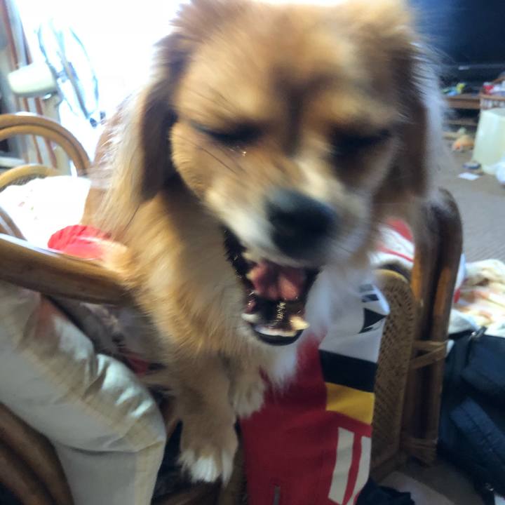 935d8124 720d 47e9 818d cfcaeb20d766 1538517688429