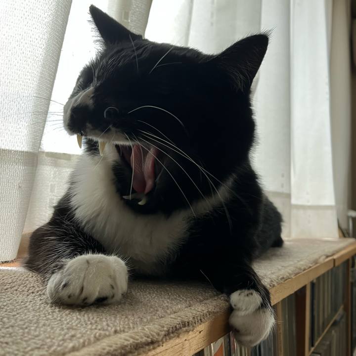 935daa67 f7a9 4a96 9add b23735f94220 1754883020271