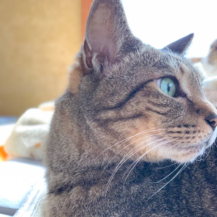 935dc569 e488 489c 8dd6 6952b5b7514a 1587949523383