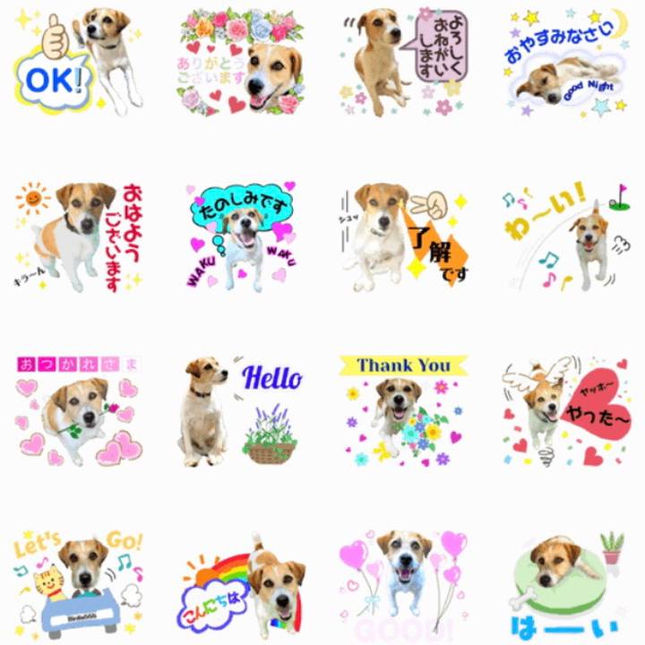 935dfb00 a8da 4aa6 ab58 070d0bc5d60c 1628036547448