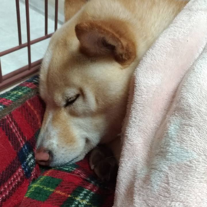 935e08af 76b7 41a4 9e1e 040fb531dbf3 1555421052649