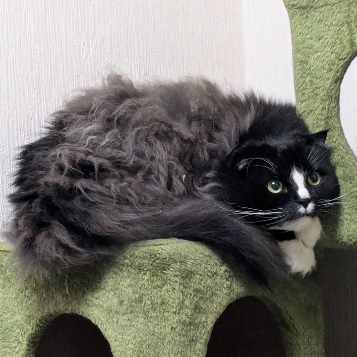 935e17a0 226d 4184 82a8 6c35325ad8e2 1774990720638