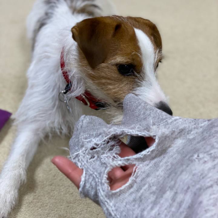 935e227d ce79 4bb1 ac4b ee5beceb06df 1644235510355