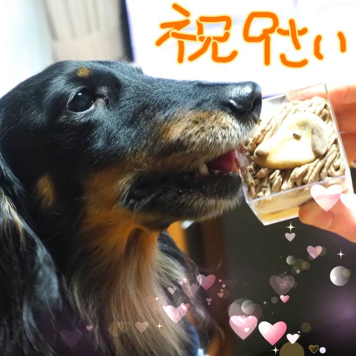 935e5dbf 6f03 4540 a9e3 5dfcc44bde99 1677721275599