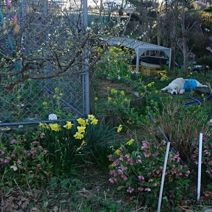 935e6bb3 a69b 4d00 aad0 406298547346 1521281397046