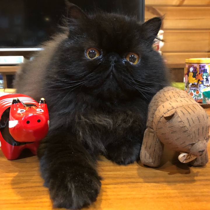 935ed2c6 2efa 4002 b0d9 da90e877d9d1 1617367217753