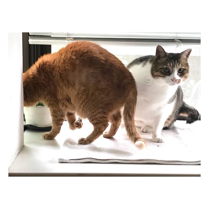 935eeb60 179a 486b 92db f2a3e5d0873b 1655722574763