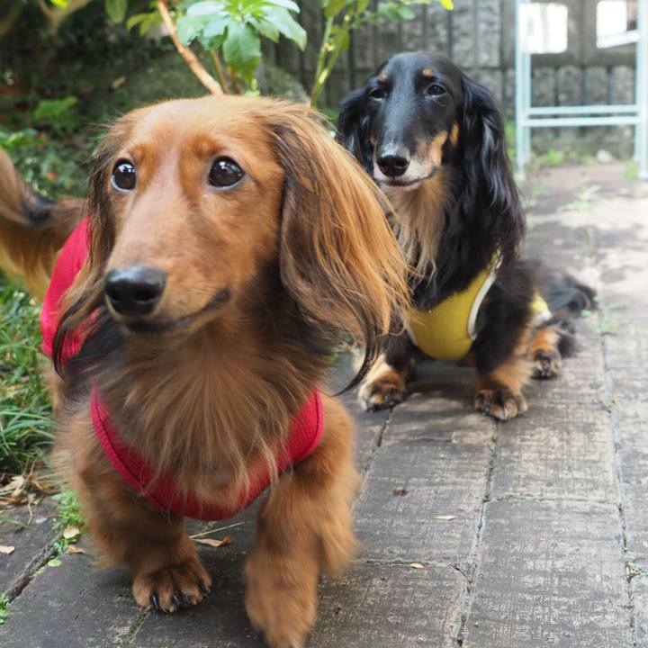 935eede5 9b65 440b bd05 1a1912679754 1757467287613