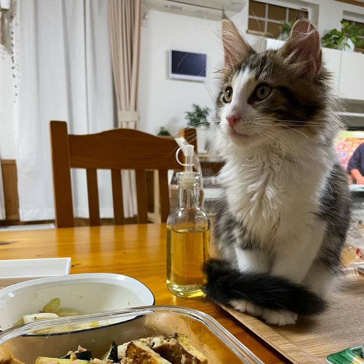 935ef08a 04b5 4446 ae80 3f0186ccc4e3 1632391872501