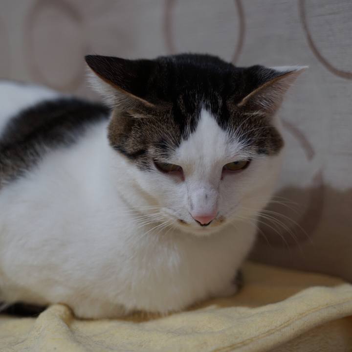 935ef72a dfdb 41ad 8fb5 da2791df56f2 1514471741170