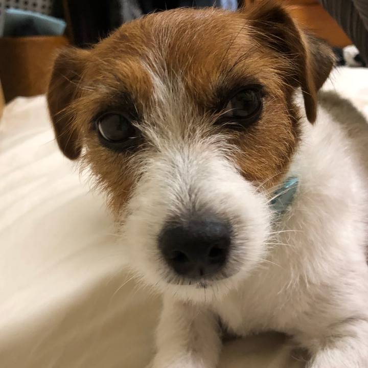 935f1976 d872 45e4 8a70 7f0aec810611 1532775013599