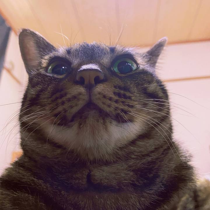 935f4d70 6731 4fc1 a048 963fe7f914c3 1659514446392