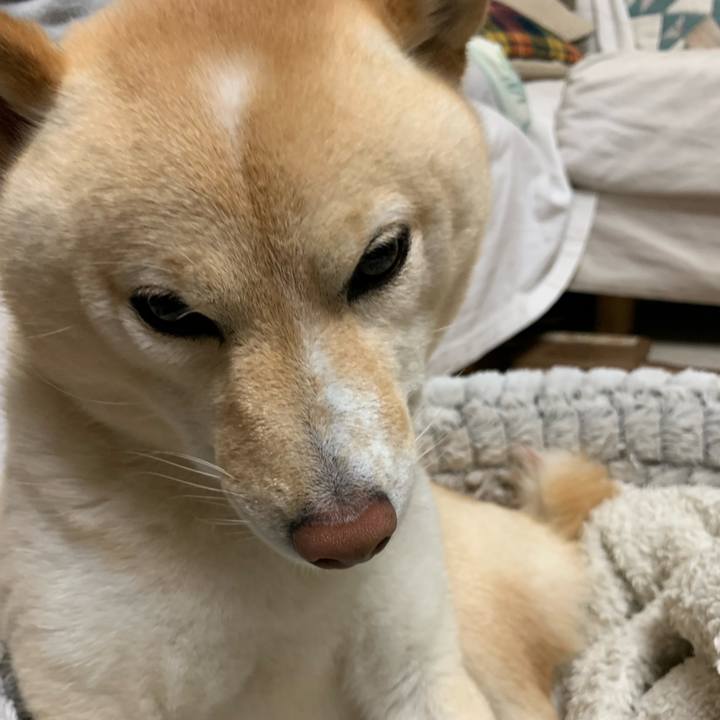 935f885c 75be 4d36 86ec 5ad945a65e9f 1654519968991