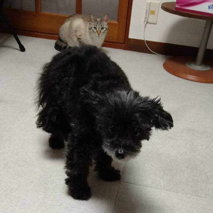 935fb94c b386 4bf5 a49b 1d2905f5074a 1653132963691