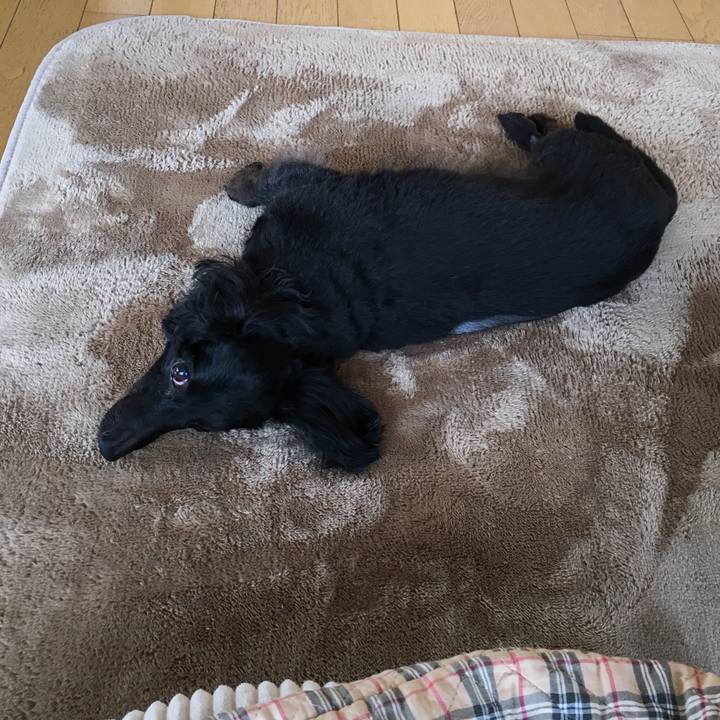 935fce97 ba89 4858 abc1 5289e5039750 1515969183258