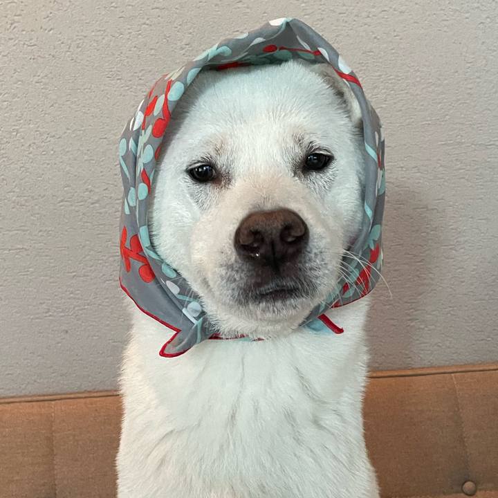 935fec17 acf8 4d12 8b49 ce3e18ccc65f 1640307448656