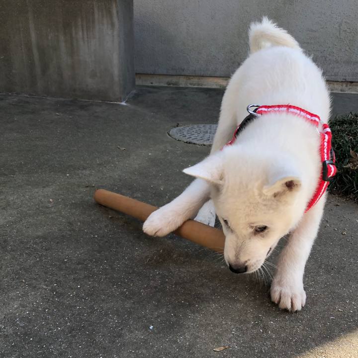 93604ba8 45cd 4b1b 9db6 2d2e43f6c558 1510741879207