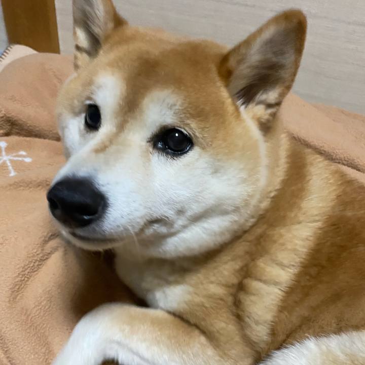 93606477 fa79 4a11 8079 c073153f1e95 1643719238259