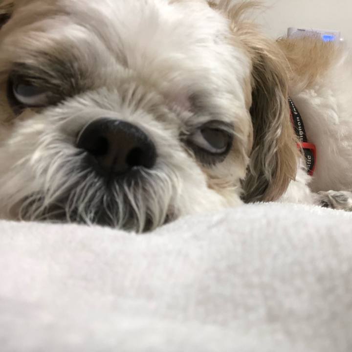 9360828a 5ce8 4ee7 8033 bb9a1346fda4 1567028700756